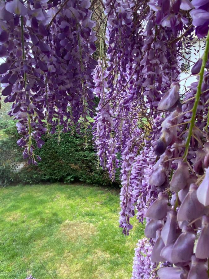 B&B Fior Di Toscana Serravalle Pistoiese 外观 照片